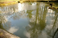 Manětín - zámecký park s jezírkem